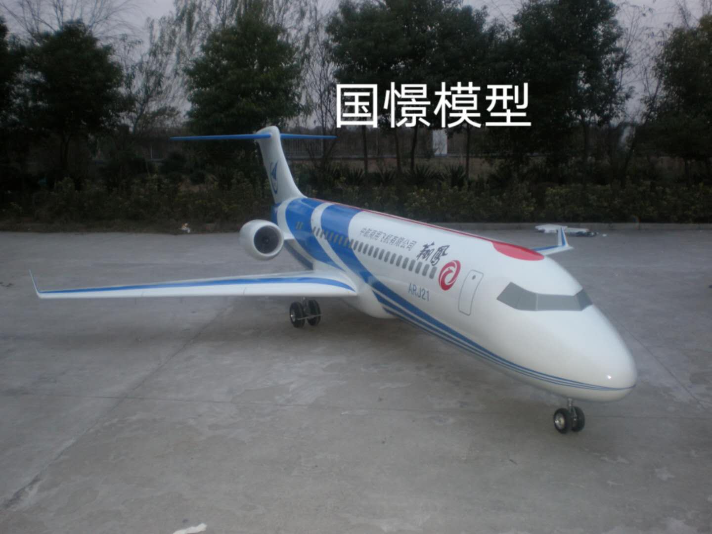 田东县飞机模型